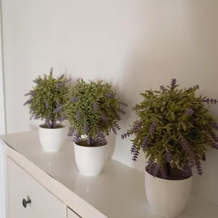 Apartment Tiny Little